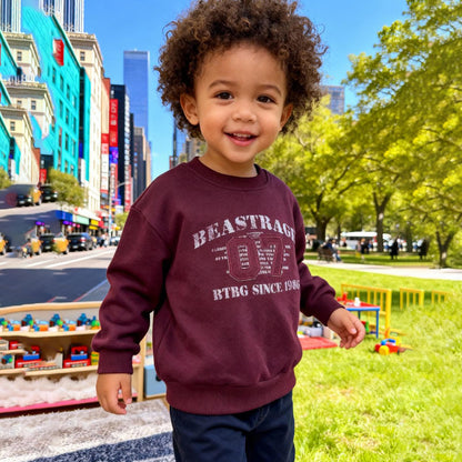 Vintage Varsity Maroon Sweatshirt (Maroon)